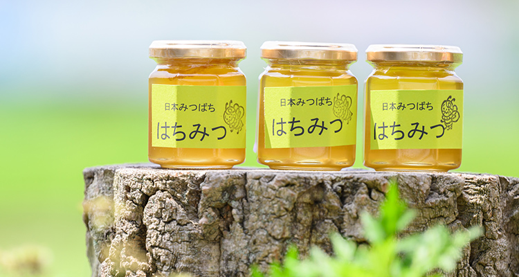 日本ミツバチからとれたはちみつを限定販売